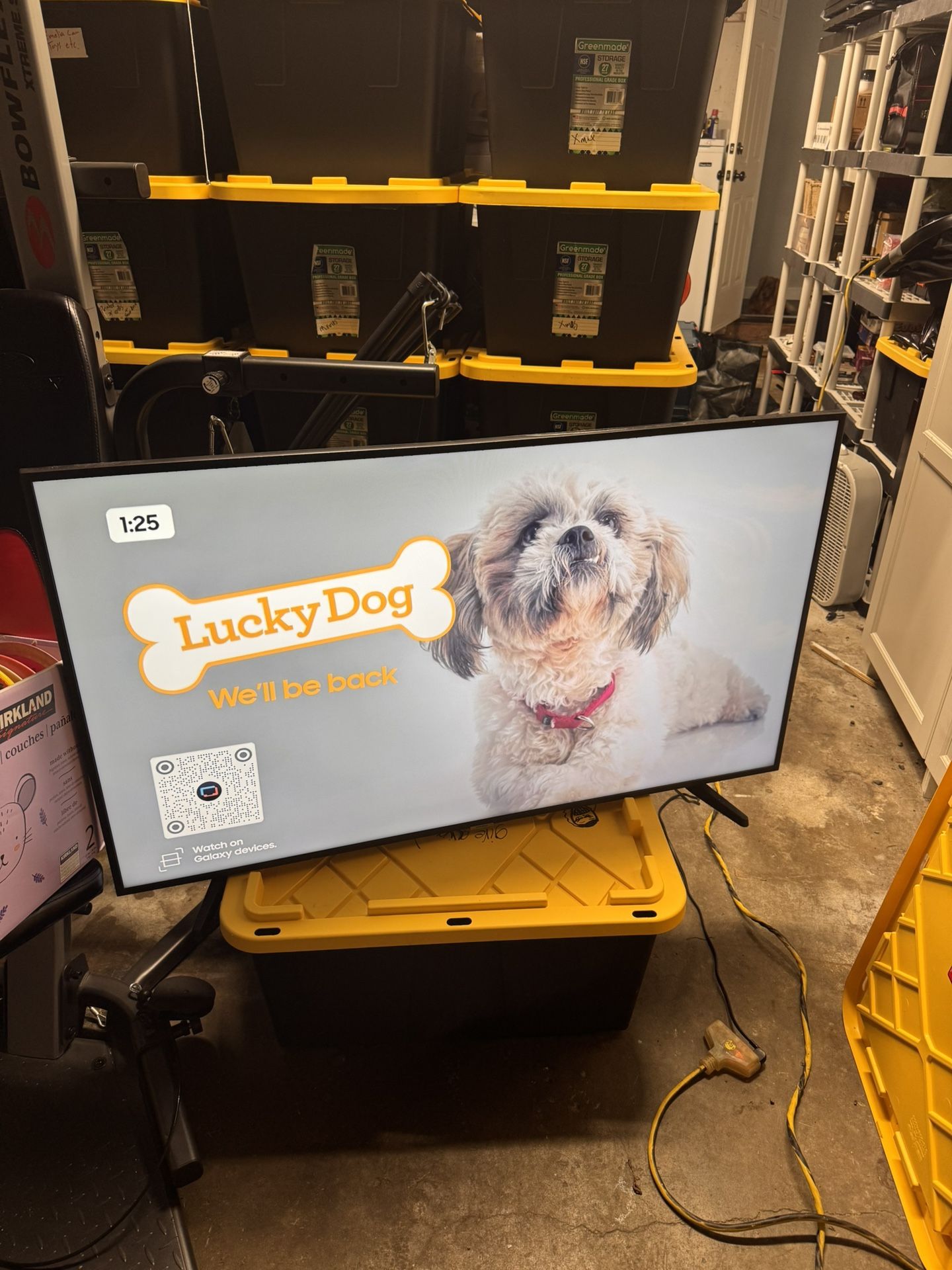 TV