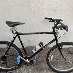 Gravel Bike Size L 