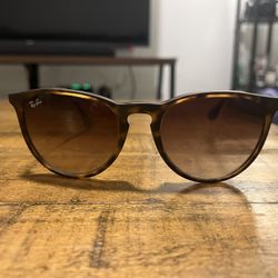 Ray Ban Erika Classic Sunglasses in Havana