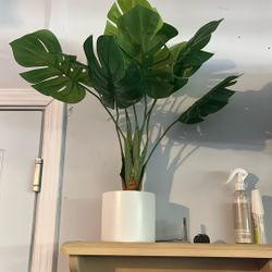 Fake Plant 