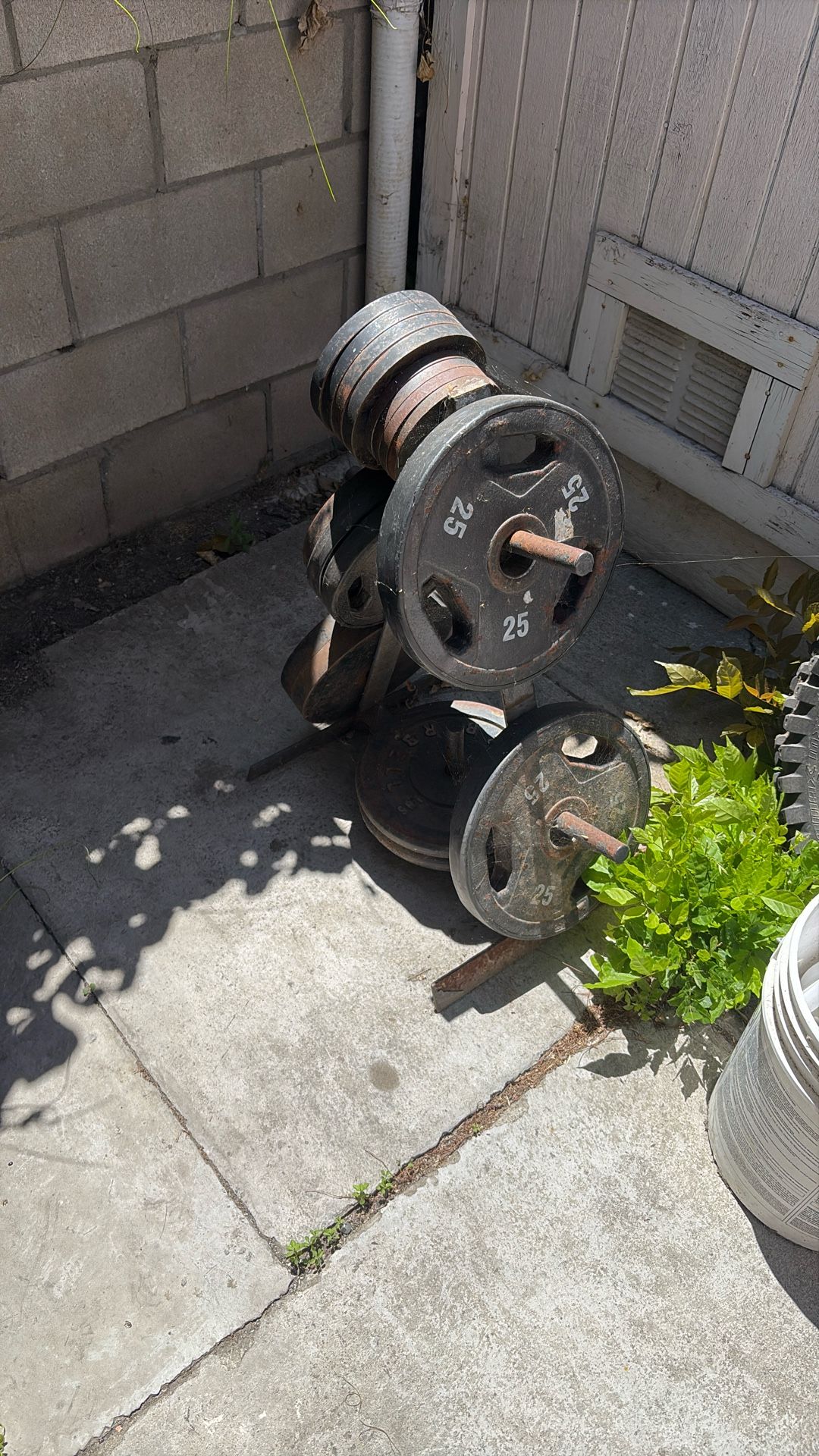 Workout Machines And Weights