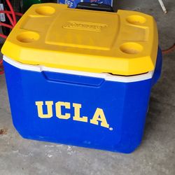 UCLA Coleman Drink Cooler