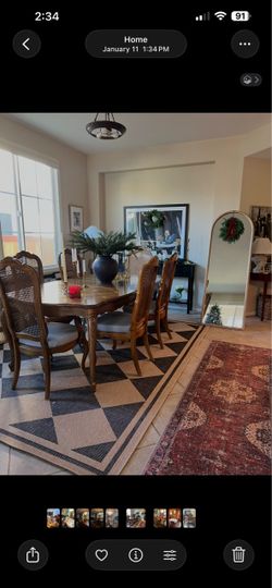 1 Indoor outdoor carpet 8x10 and 1  small carpet
