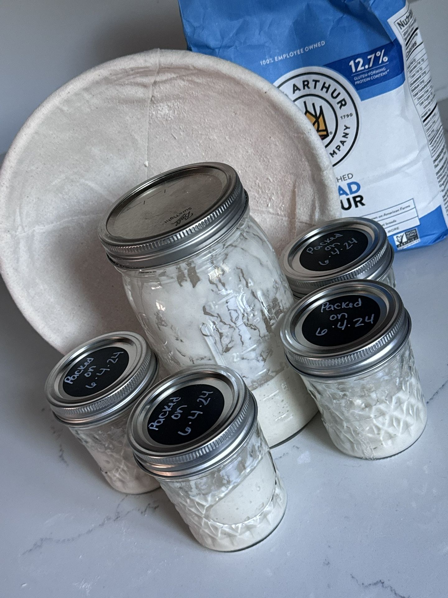 Sourdough starter