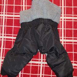 NWOT Dog Snow Suit