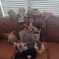 
🧸 Selling a large, clean collection of original TY Beanie Babies—most with tags intact and stored safely in bins over the years.

📦 Includes a wide