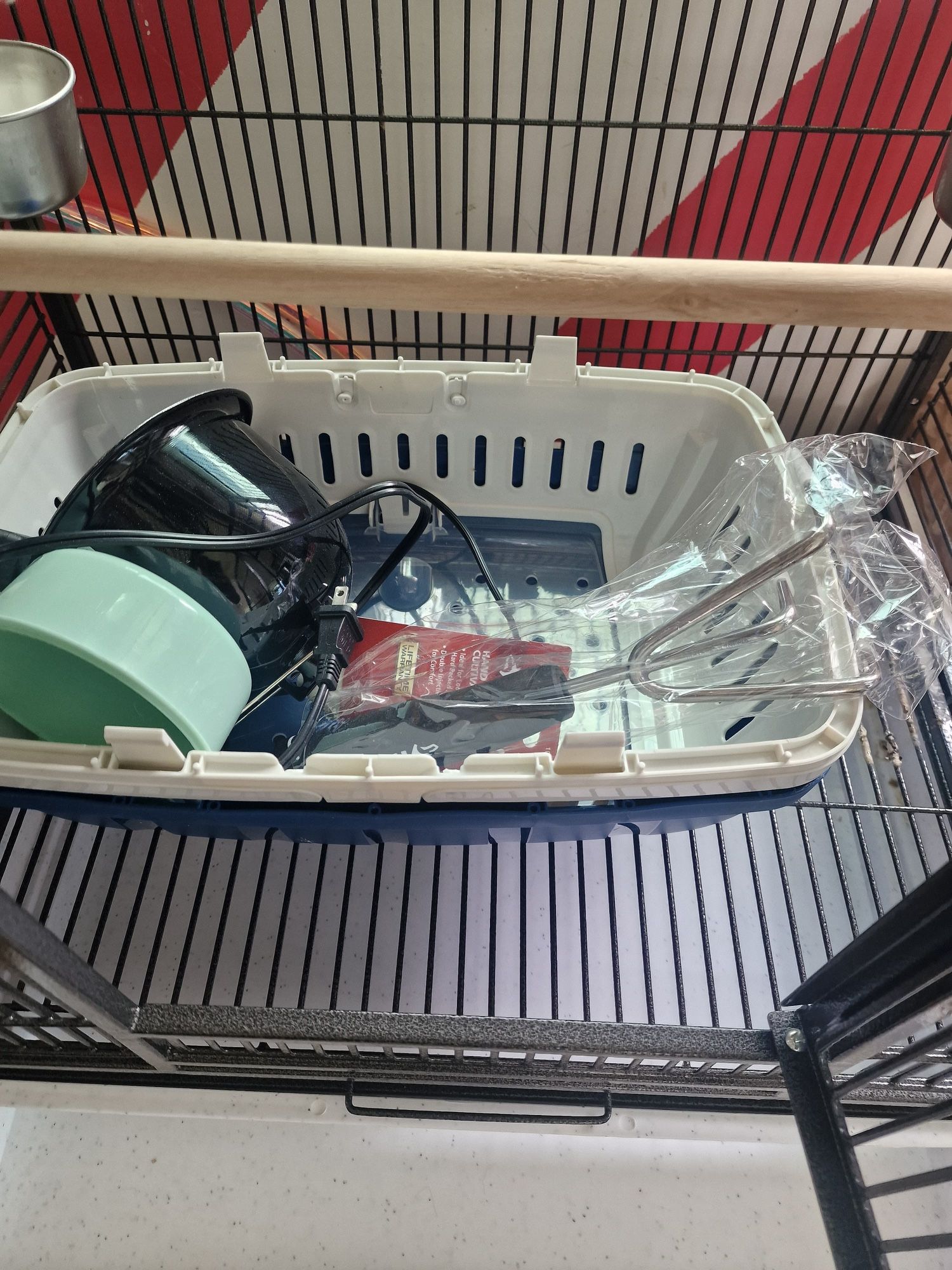 Bird Cage