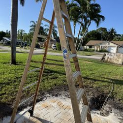 Werner Commercial Ladder