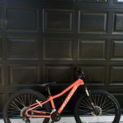 Specialized Rockhopper Mountain Bike 26”