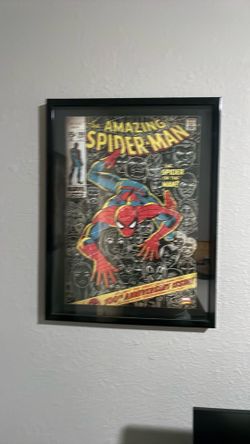 Spider man glass picture