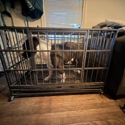 Heavy Duty Indestructible Dog Crate