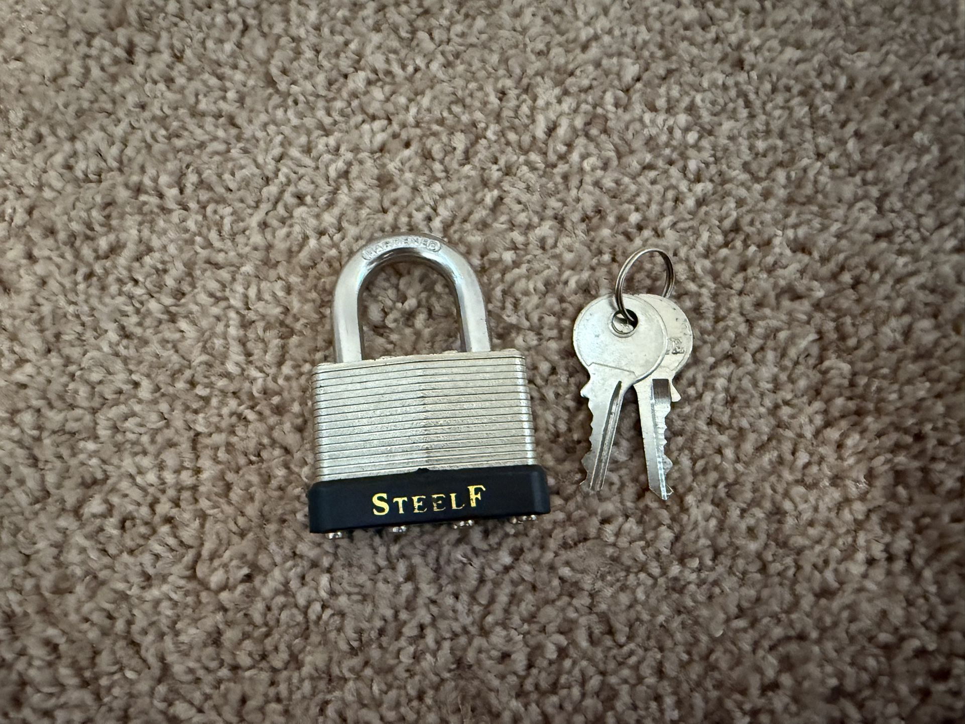 Heavy-Duty SteelF Padlock with 2 Keys