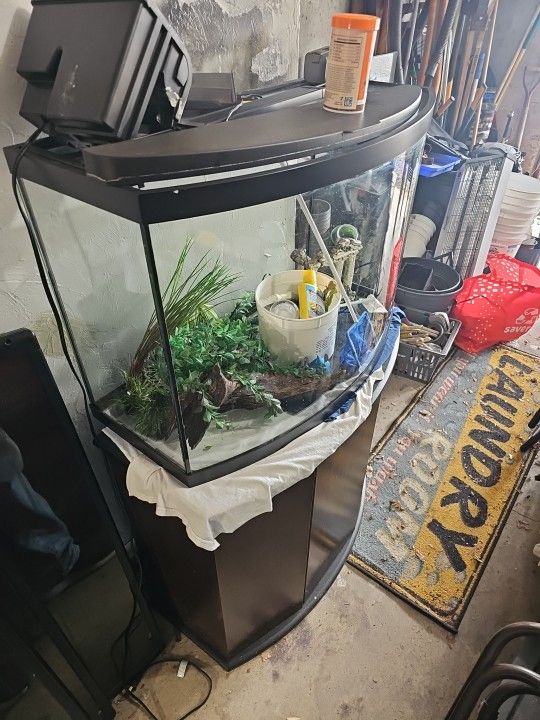 Fish Tank