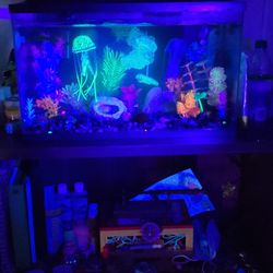 50 Gallon Tank With Stand And Light 