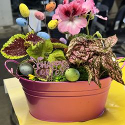 Easter Gift baskets / Live plants 