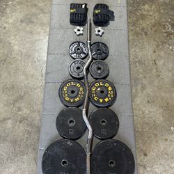 Standard Curl Bar With Weights 