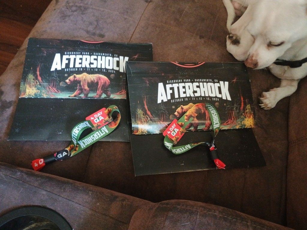 4 Day General Admission Aftershock Wristbands