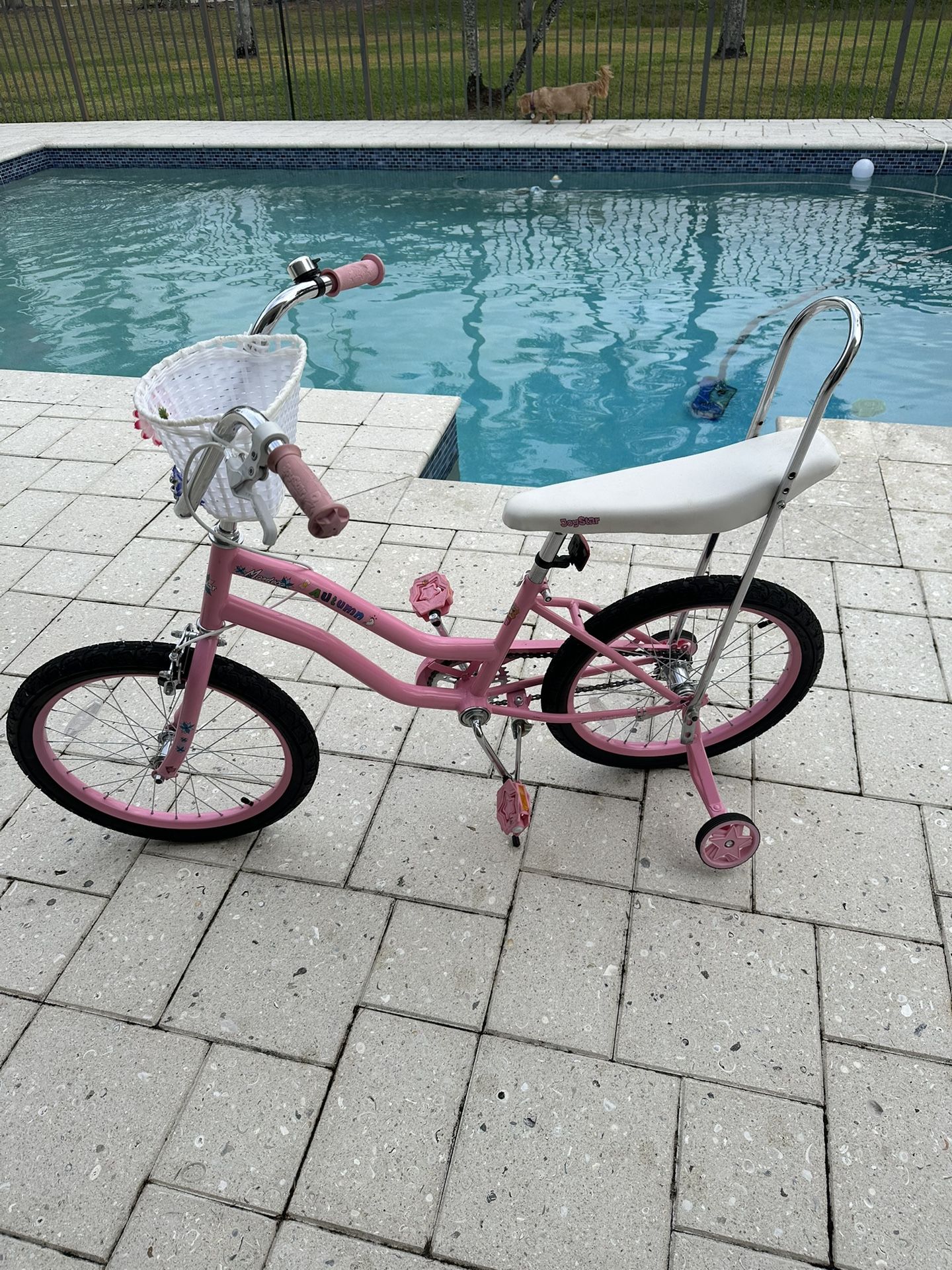 Joy Star Manteca Autumn Kids Bike