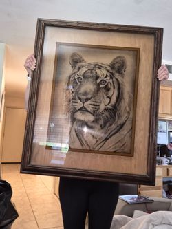 Tiger picture