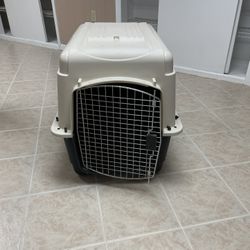 Dog Kennel