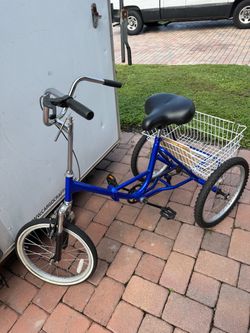 Blue Adult Tricycle with Rear Basket 20 “