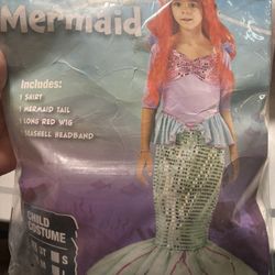 Mermaid Costume 