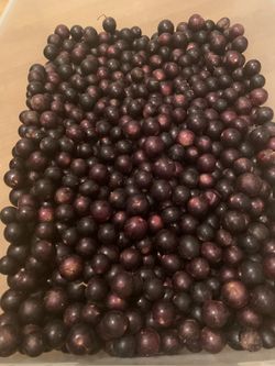 Muscadine grapes 🍇