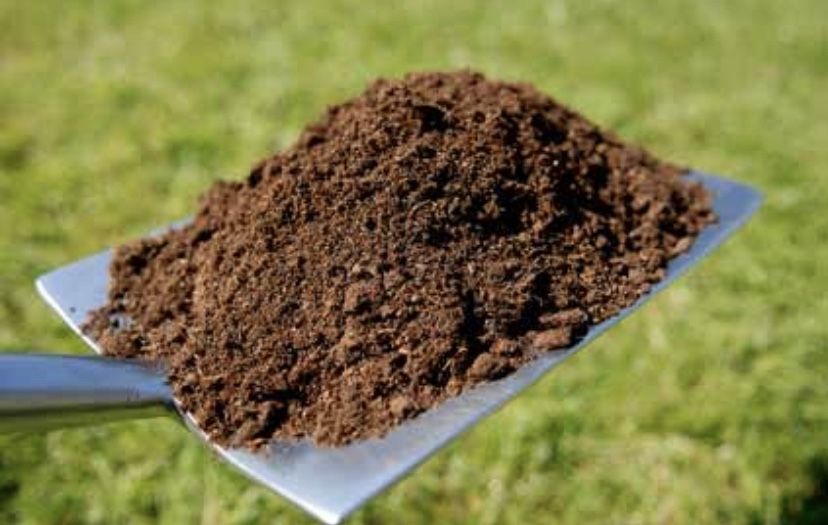 Black Gold Organic Rich Soil