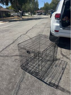 Dog Crate
