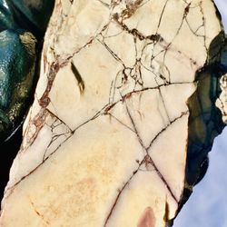 Exotica Sci Fi Porcelain Jasper from Mexico Scenic Pattern Raw Natural Rough