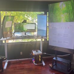 4 Screen Gaming/Trading/Work Setup High End 1 Year Old