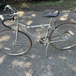 Panasonic Sport 500