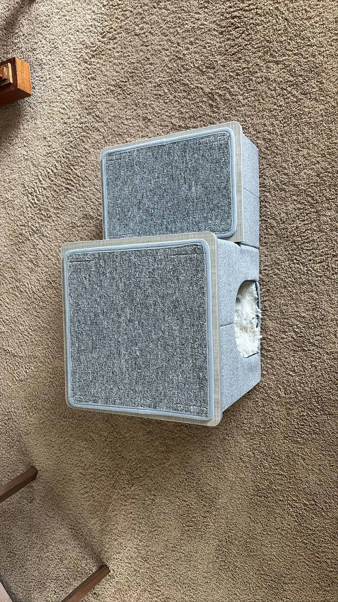 Pet Steps and Storage