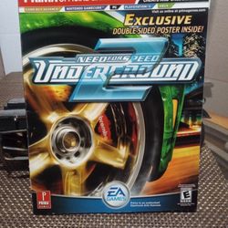 Video Game 