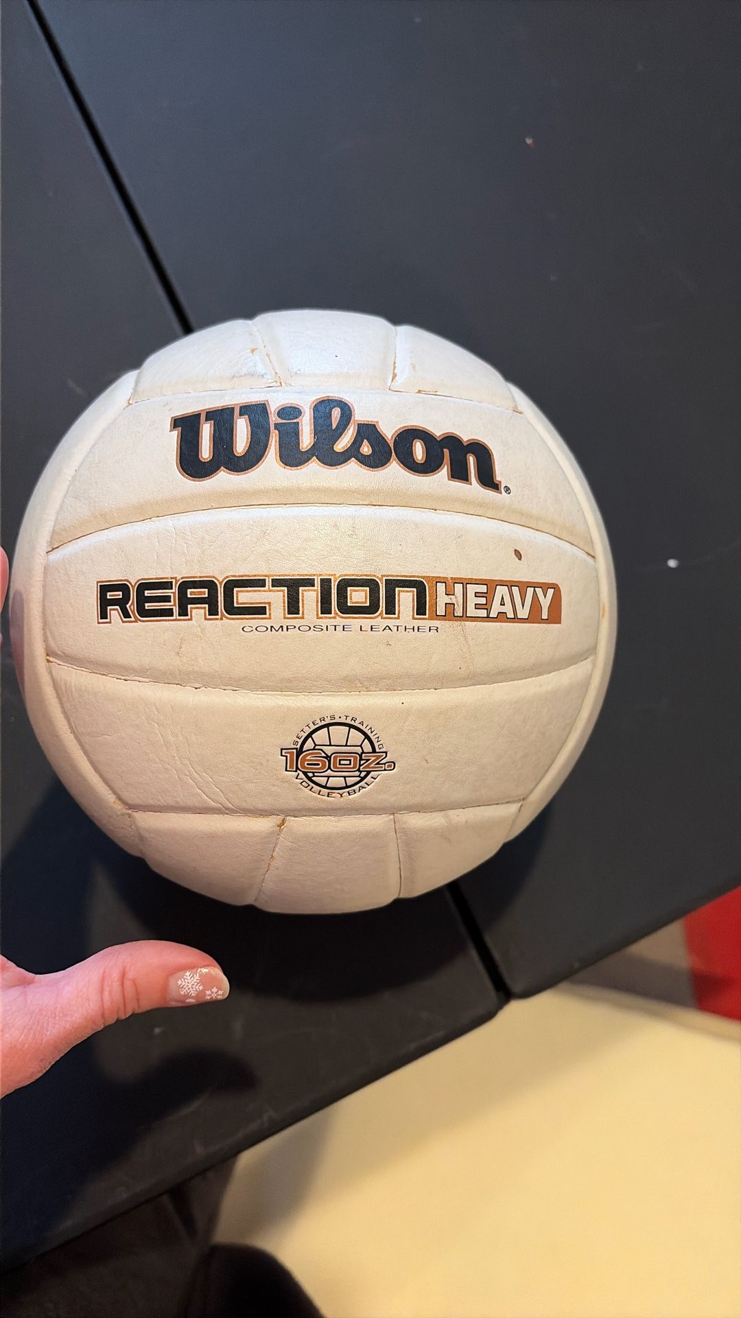 Volleyball Setter Trainer ball