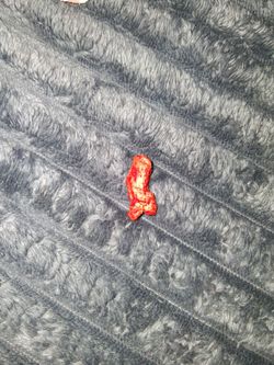 Ultra rare hot cheetos 🤣