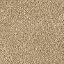 Beige Plush Indoor Carpet, 11’ X 16’