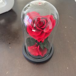 Encased Rose