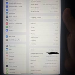 iPad Mini 6 Cellular