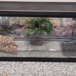 Fish Tank