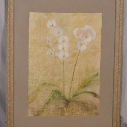 Framed Orchid Art Decor - Good condition