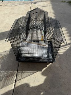 Medium Size Black Bird Cage In Good Shape Asking$30