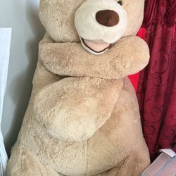 Giant Plush bear