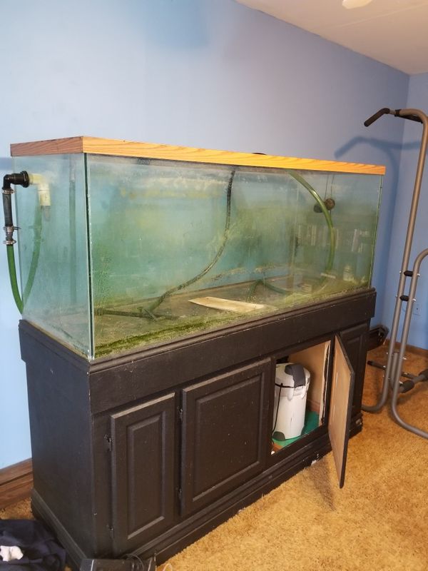 220 gallon fish tank for Sale in Robbinsville, NJ OfferUp