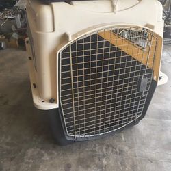 Kennel for large dogs