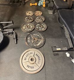 45s 35s 25s 10s Olympic plates 230 lbs weights