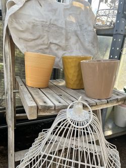 Orange and peachy flowers pots . 5.00 each