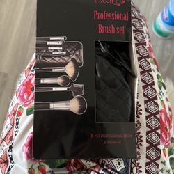 Professional Makeup Brushes