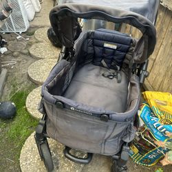 Baby Trend Wagon
