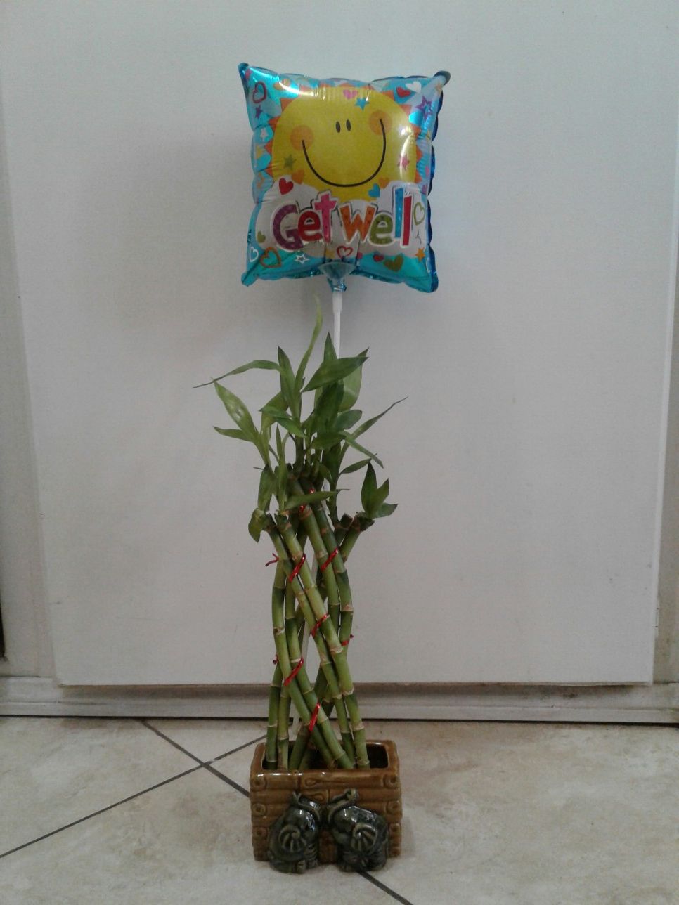 Bamboo plant with get well balloon